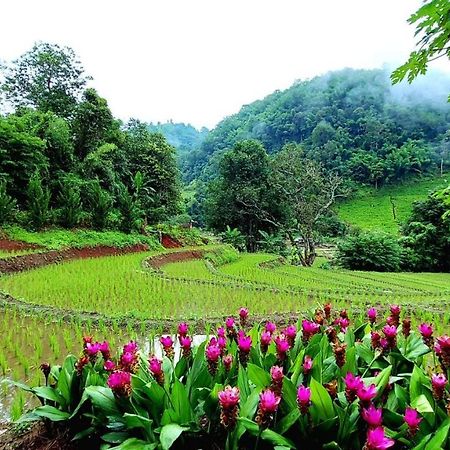 코윗 매챔 팜스테이 Ban Mae Pan Noi 외부 사진