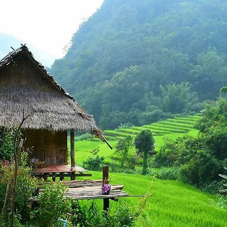 코윗 매챔 팜스테이 Ban Mae Pan Noi 외부 사진