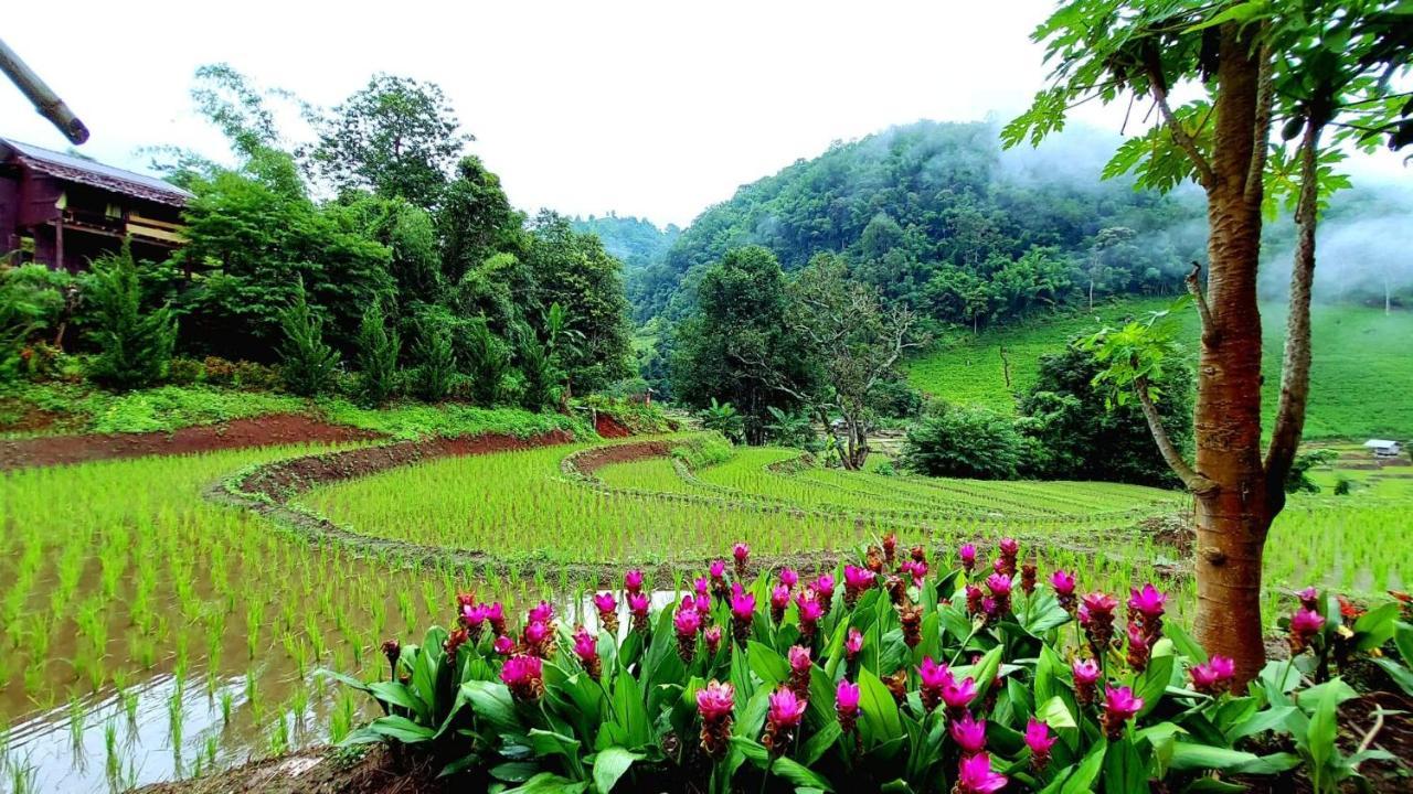 코윗 매챔 팜스테이 Ban Mae Pan Noi 외부 사진