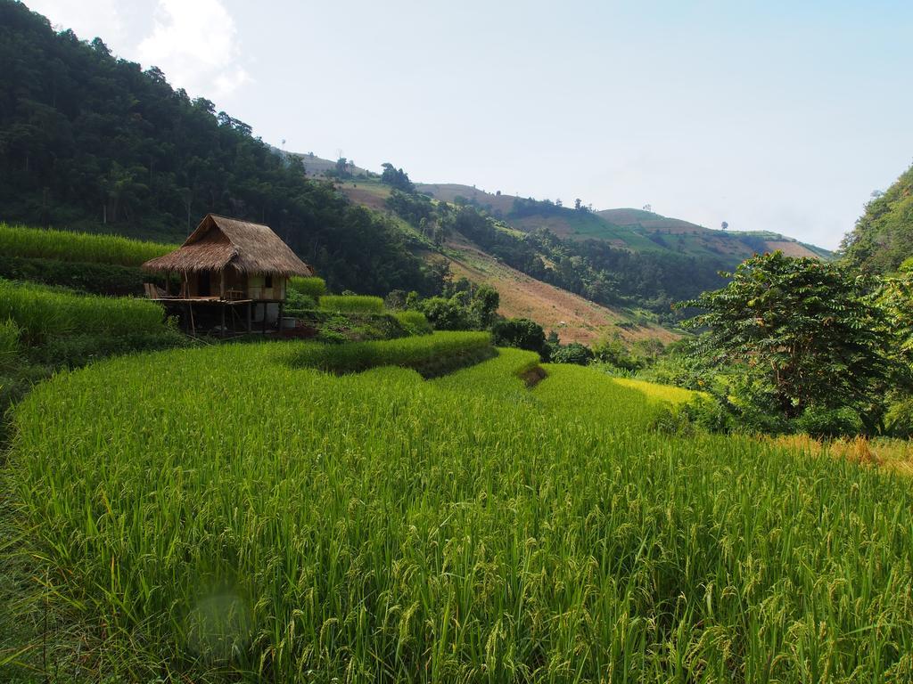 코윗 매챔 팜스테이 Ban Mae Pan Noi 외부 사진