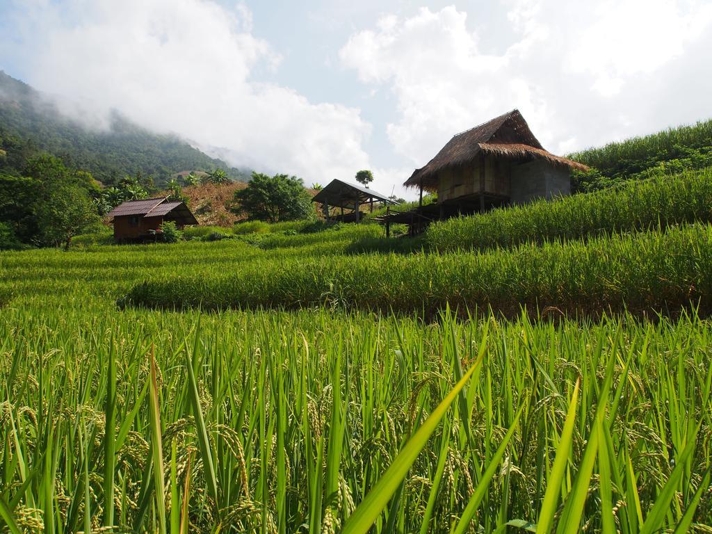 코윗 매챔 팜스테이 Ban Mae Pan Noi 외부 사진
