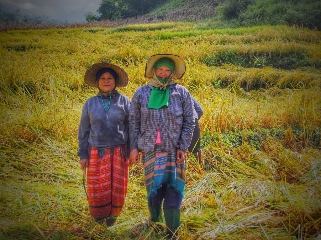코윗 매챔 팜스테이 Ban Mae Pan Noi 외부 사진