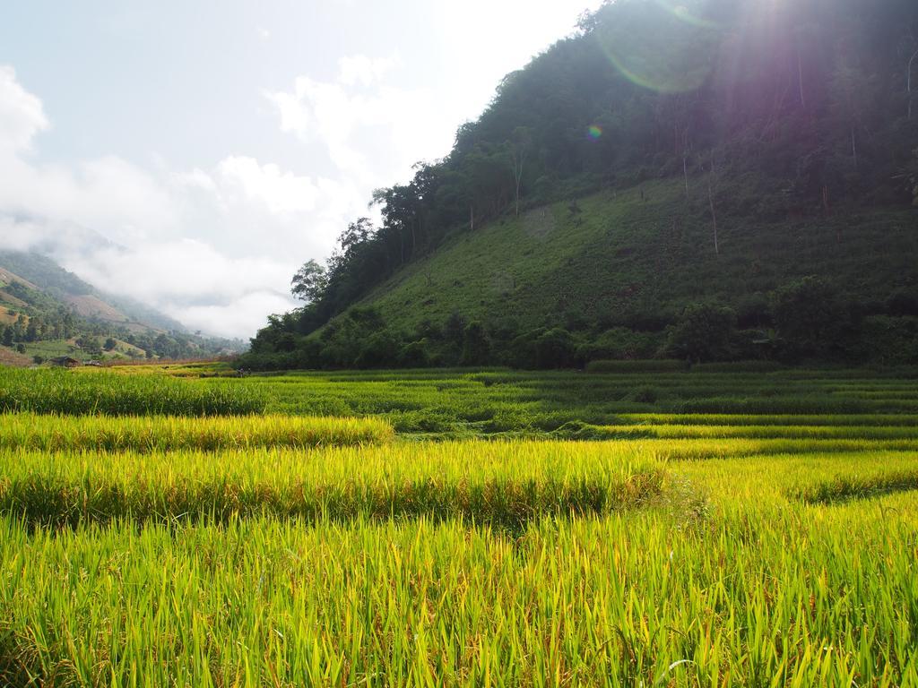 코윗 매챔 팜스테이 Ban Mae Pan Noi 외부 사진