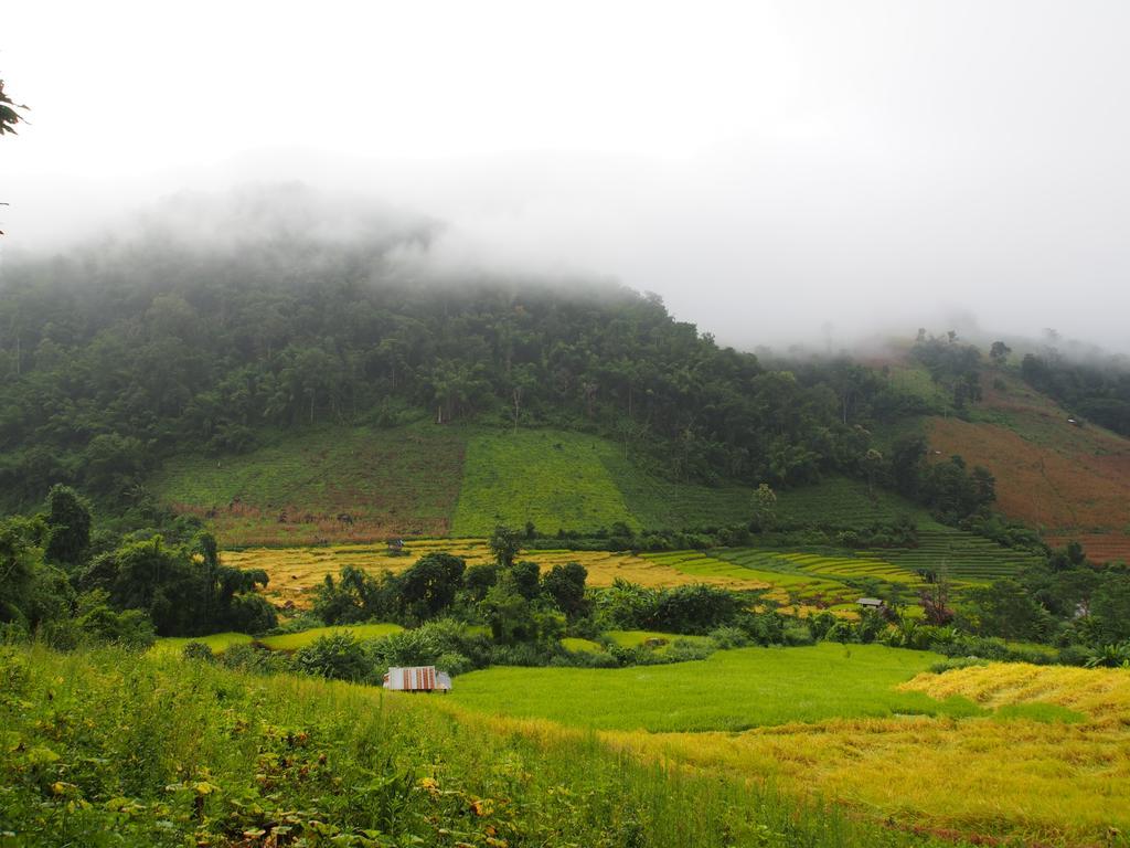 코윗 매챔 팜스테이 Ban Mae Pan Noi 외부 사진