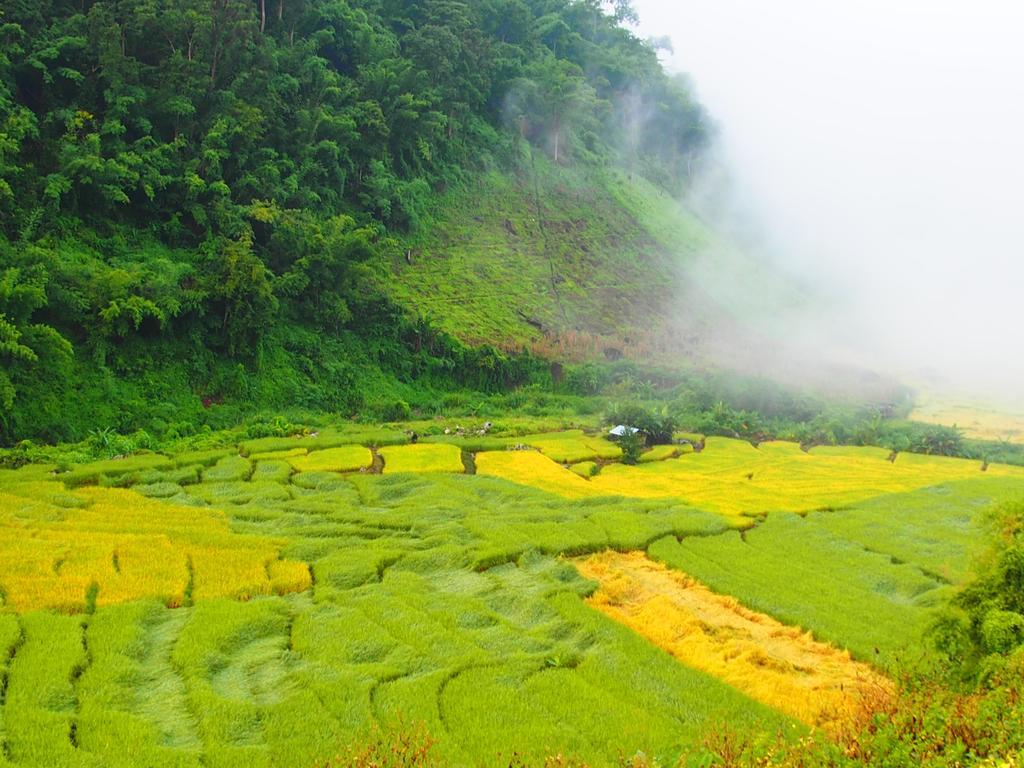 코윗 매챔 팜스테이 Ban Mae Pan Noi 외부 사진