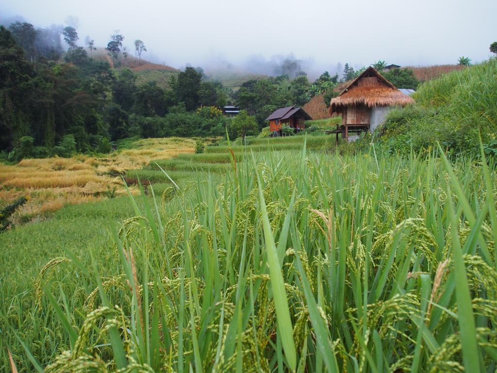 코윗 매챔 팜스테이 Ban Mae Pan Noi 외부 사진