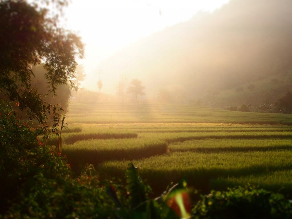 코윗 매챔 팜스테이 Ban Mae Pan Noi 외부 사진