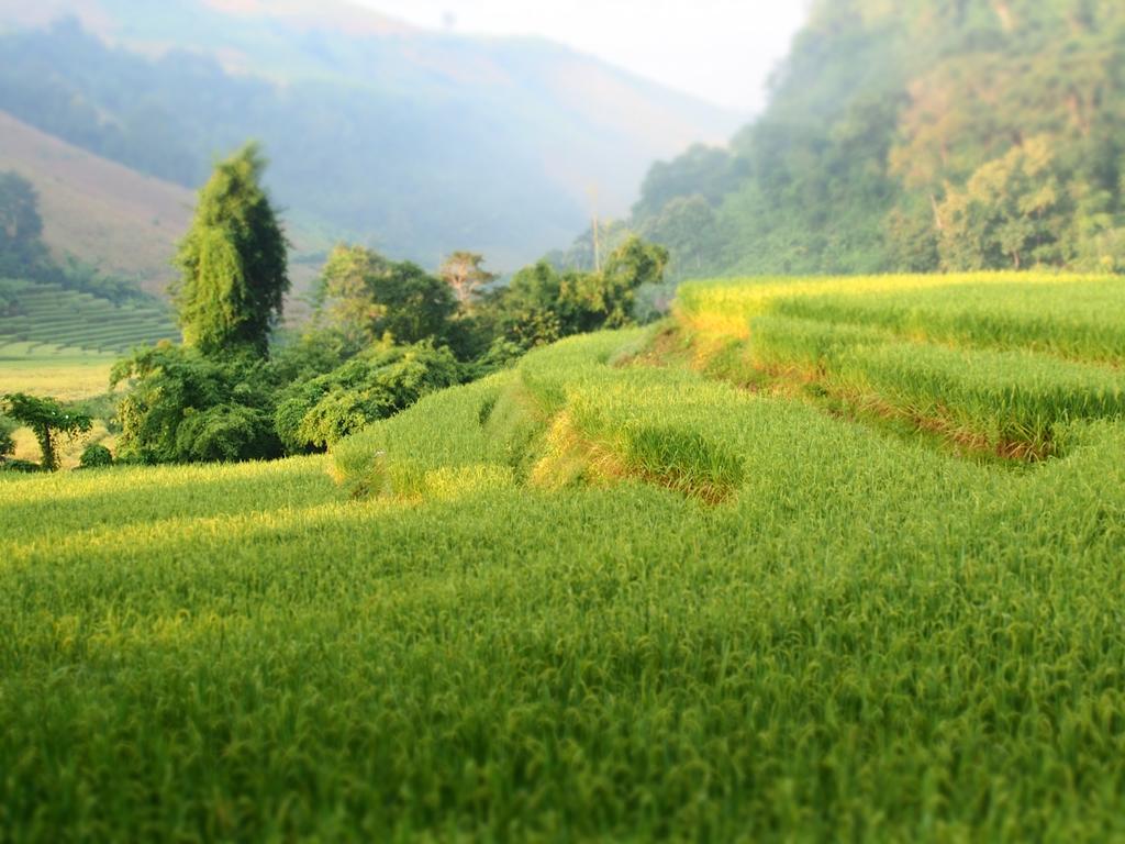 코윗 매챔 팜스테이 Ban Mae Pan Noi 외부 사진