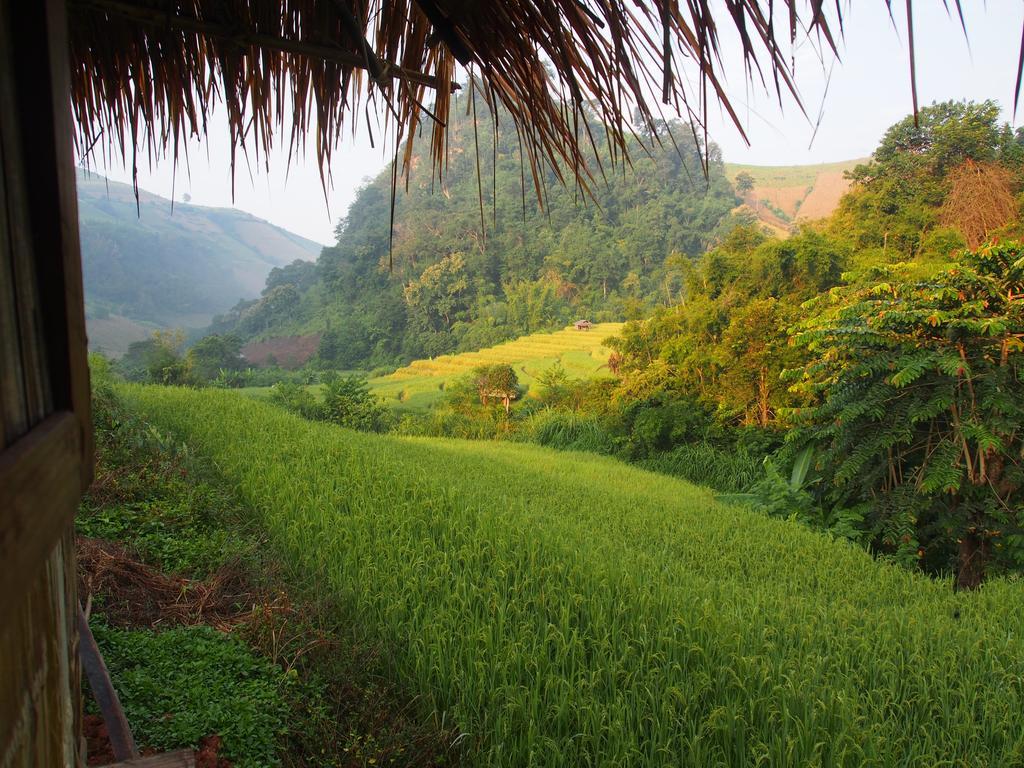 코윗 매챔 팜스테이 Ban Mae Pan Noi 외부 사진