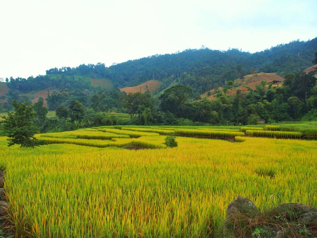 코윗 매챔 팜스테이 Ban Mae Pan Noi 외부 사진