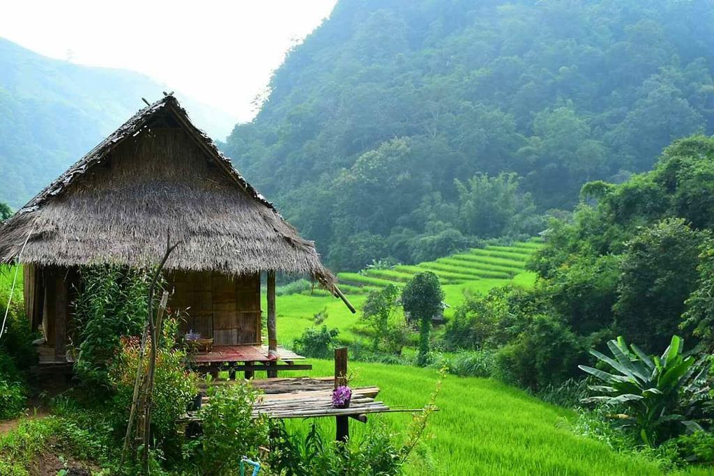 코윗 매챔 팜스테이 Ban Mae Pan Noi 외부 사진