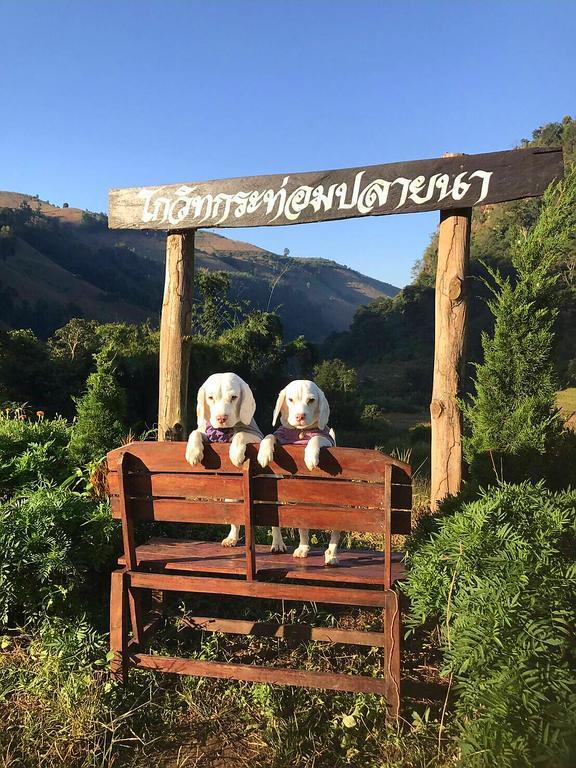 코윗 매챔 팜스테이 Ban Mae Pan Noi 외부 사진