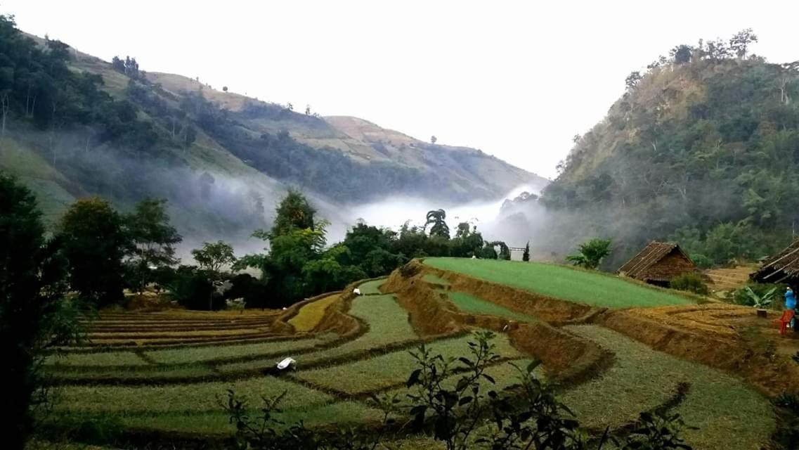 코윗 매챔 팜스테이 Ban Mae Pan Noi 외부 사진